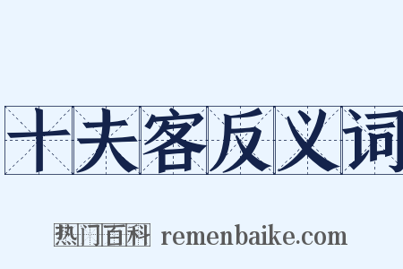 十夫客反义词是什么意思的图片